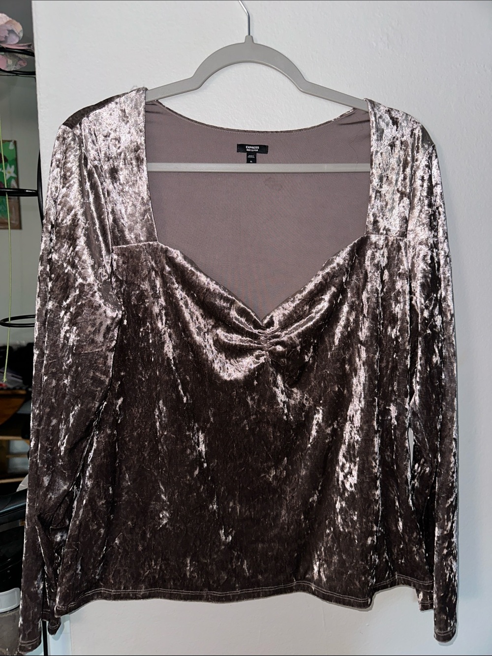Express Crushed Velvet Long Sleeve Top - Taupe